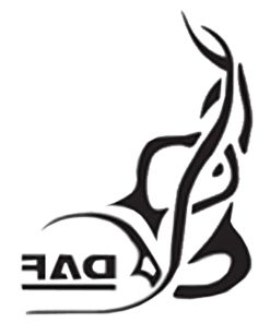 Décoration vitres latérales gris Daf